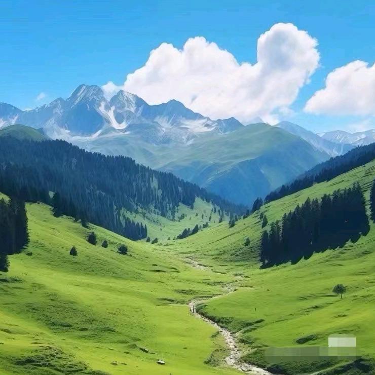 张曜嵩