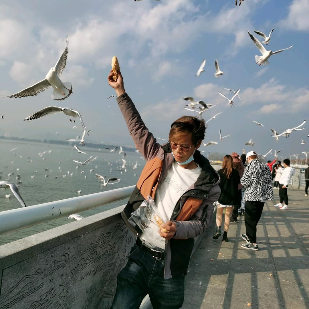 飞猫联盟夜猫  看主页