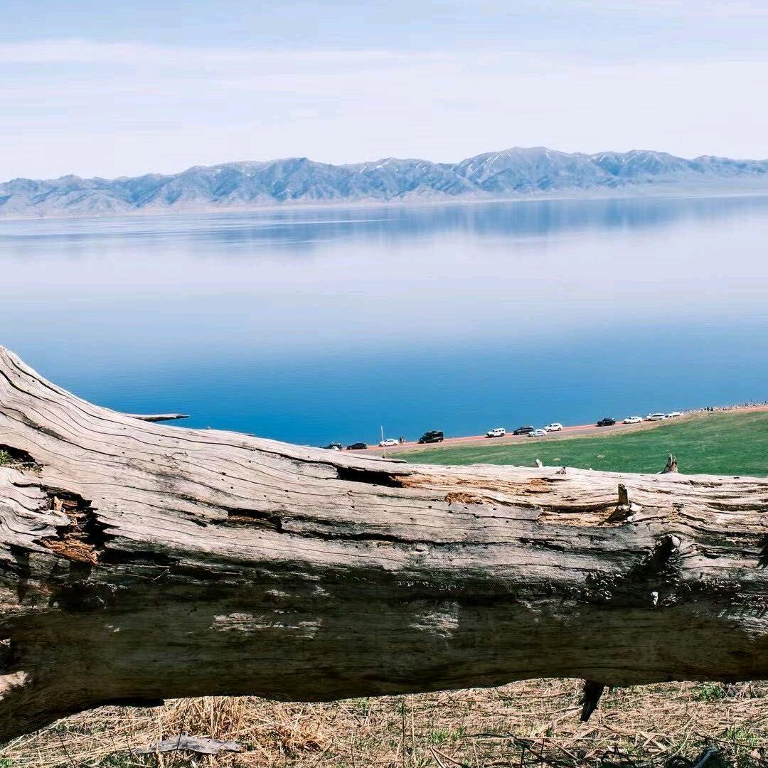 幼儿园复读了一年