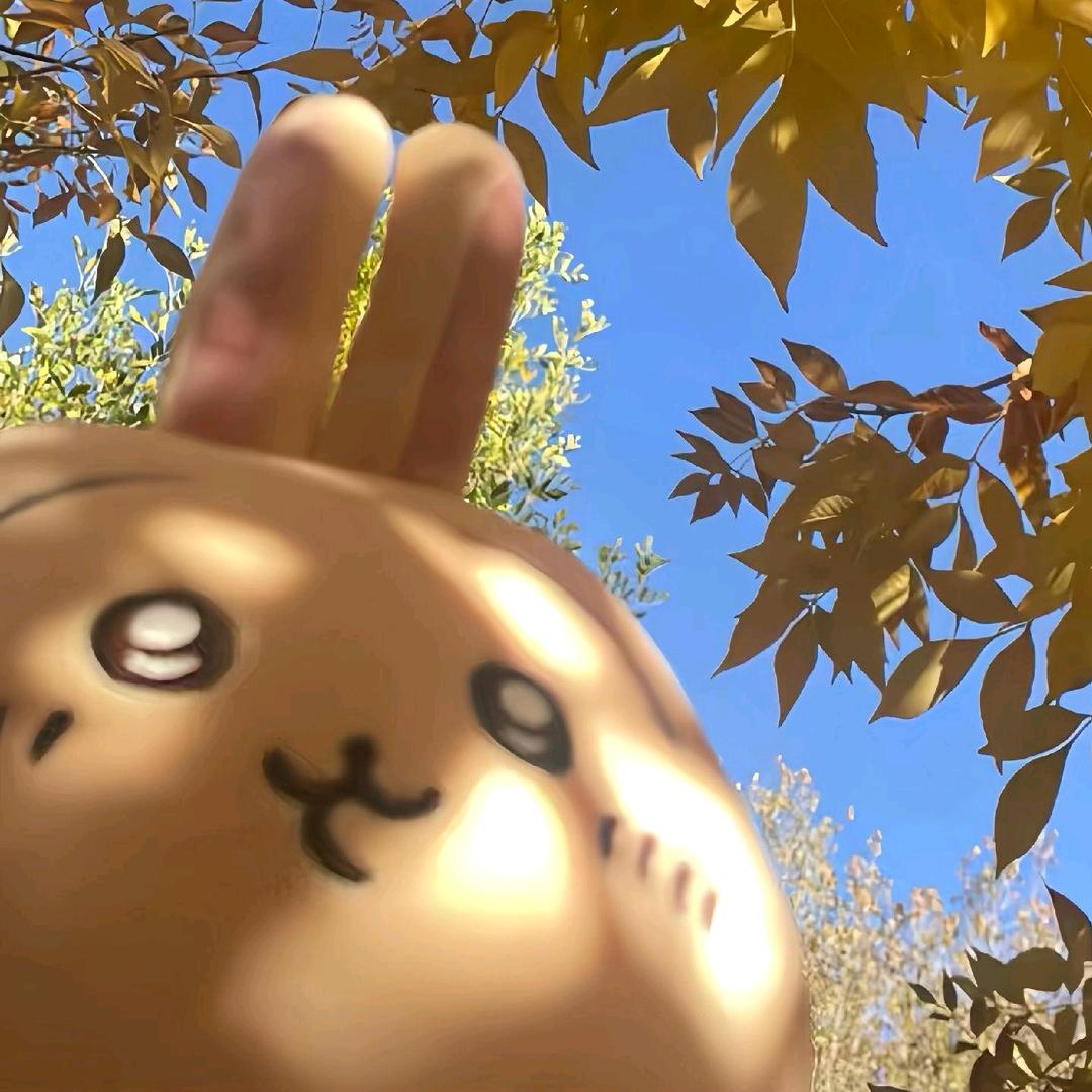 溏心儿蛋