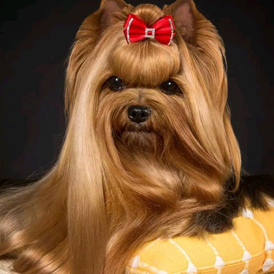 冰冷的心，谁来暖