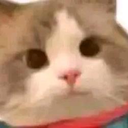 1489