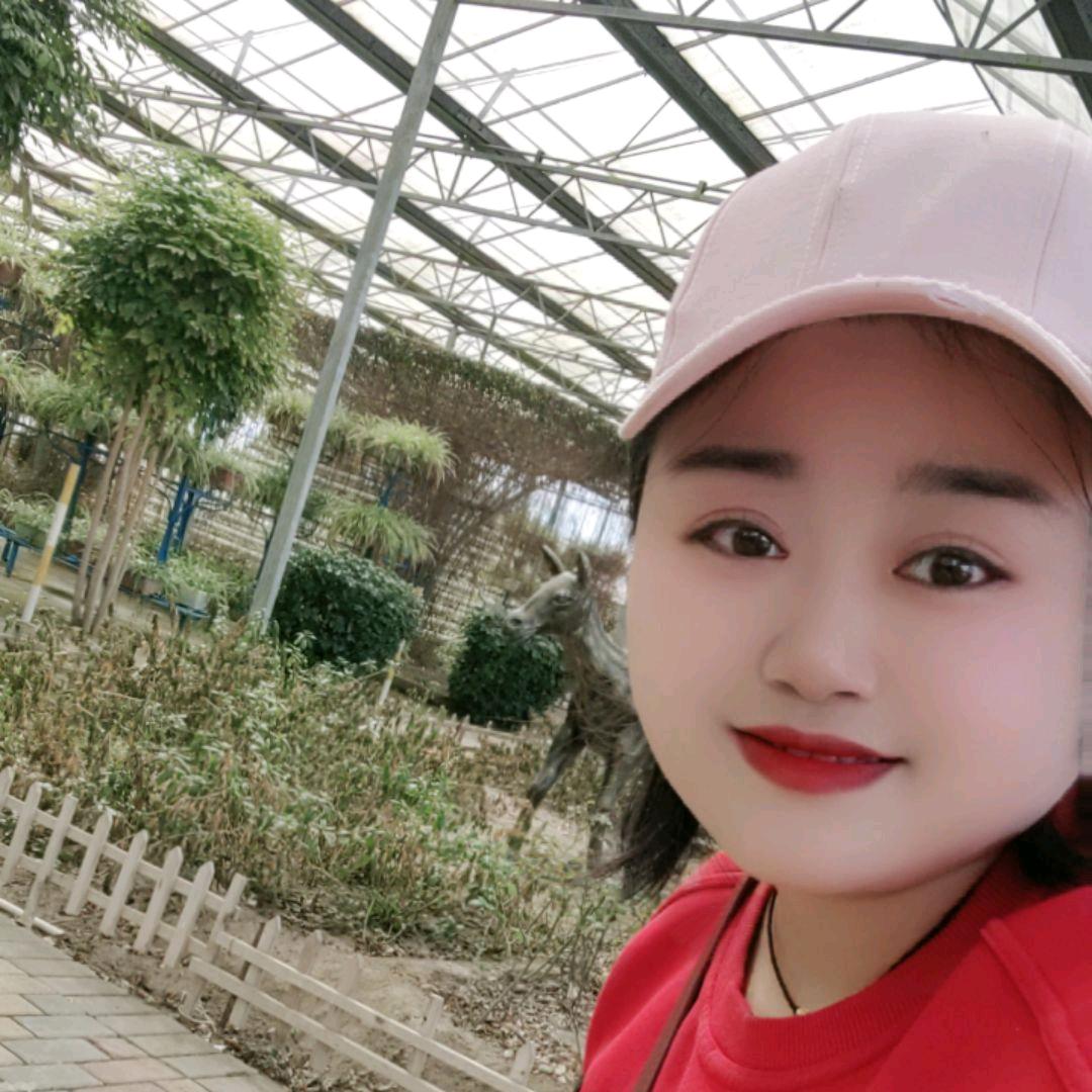 郑小郑（搬完砖就开播）正在努力中