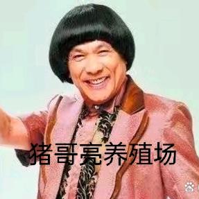猪哥亮电器行