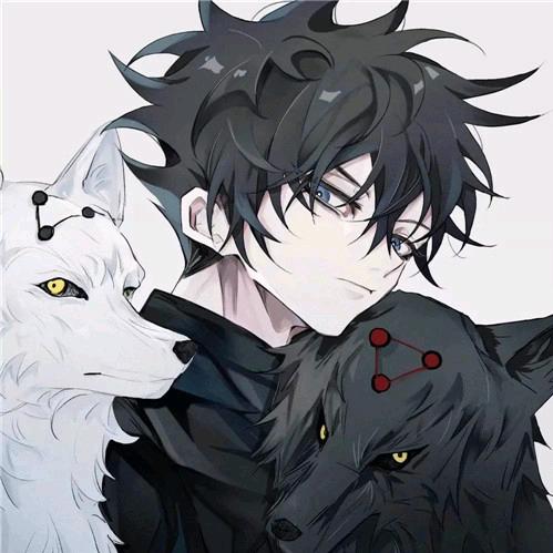 冰雪ice