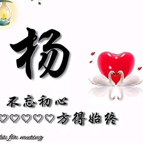 杨氏甄选