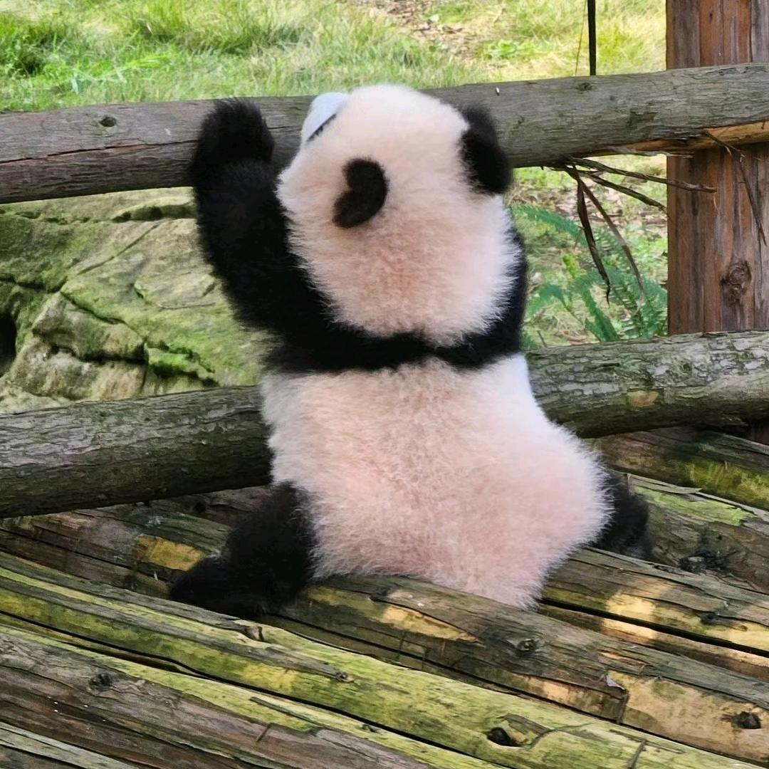 南北