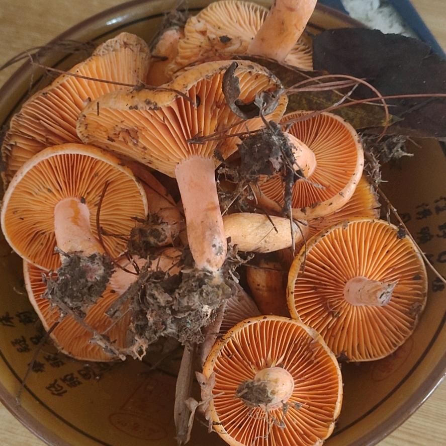 哈哈哈。。。。。。。。