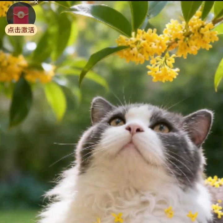 小龙女。🚬🥃🍷🍻🥂🌹🌷🌺