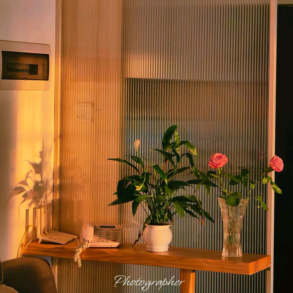 仁寿装修  程晨