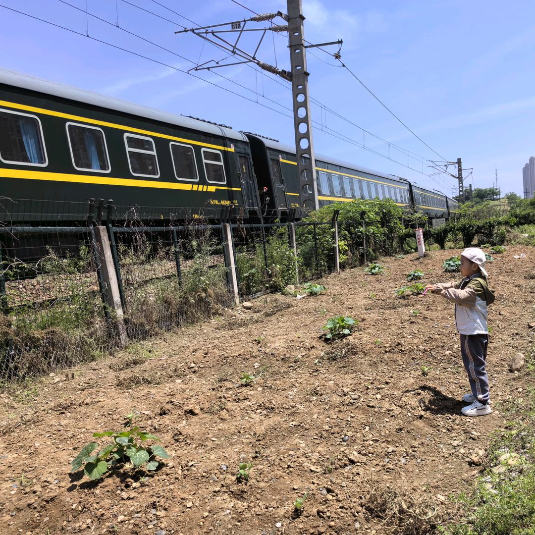 火车男孩学诗词