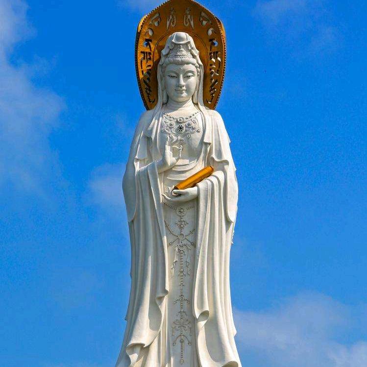 叉车厂家直销-臧素侠