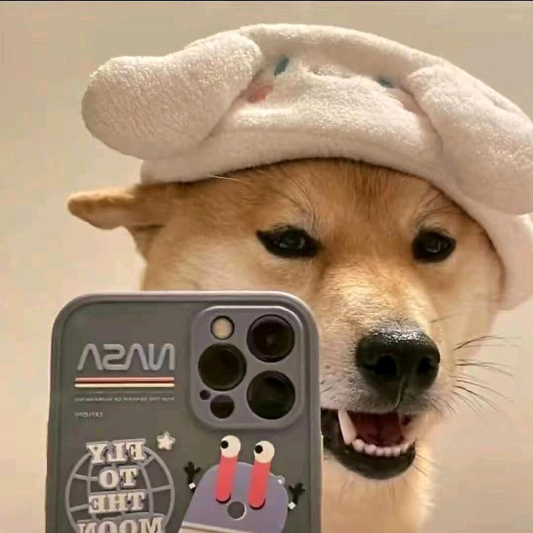 随发~