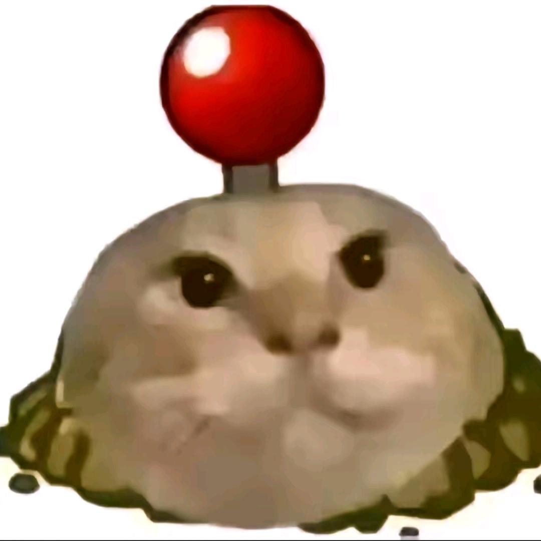 开纪biss