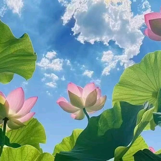随意