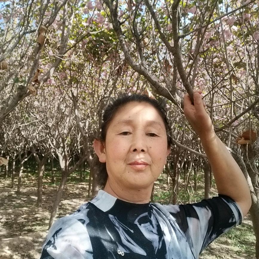 期望