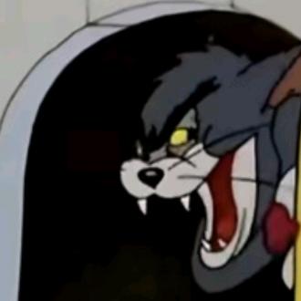 yyyyyyyyy