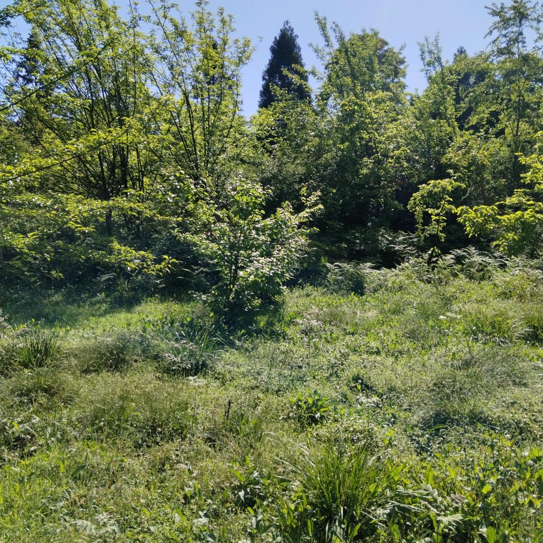 我的温柔你不配拥有