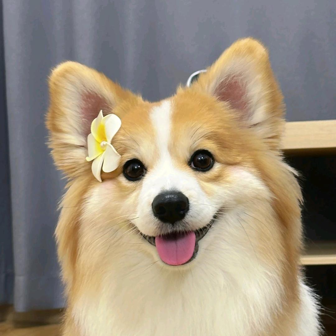 温暖余生