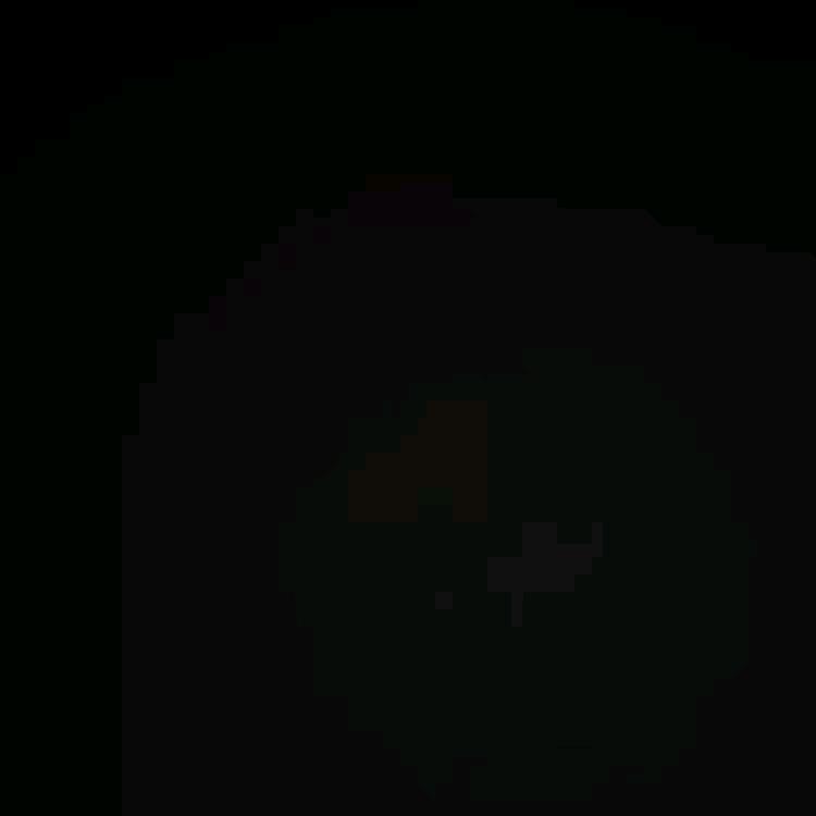 消失中的五花肉