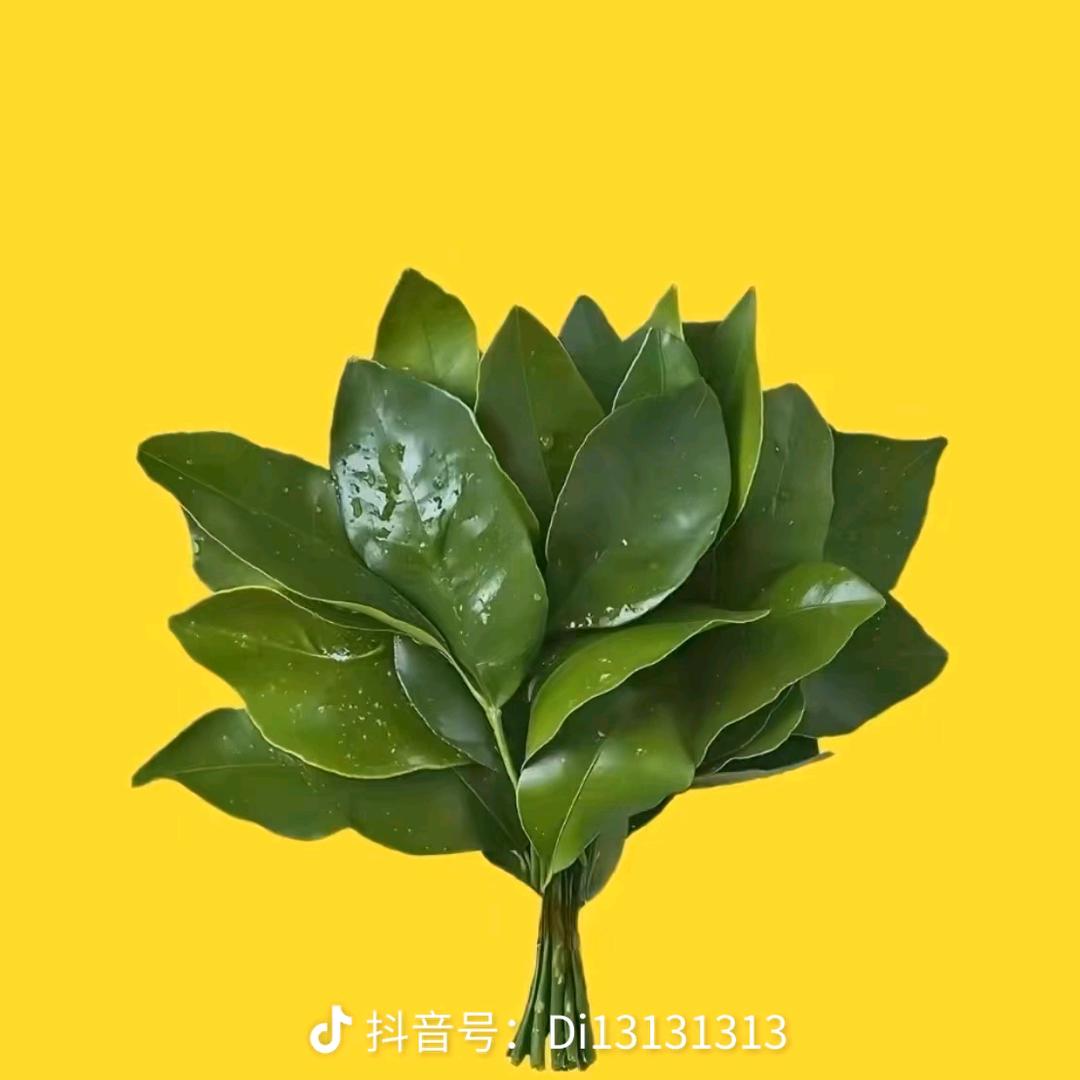 ʚ燕ᩚ⁎🍀