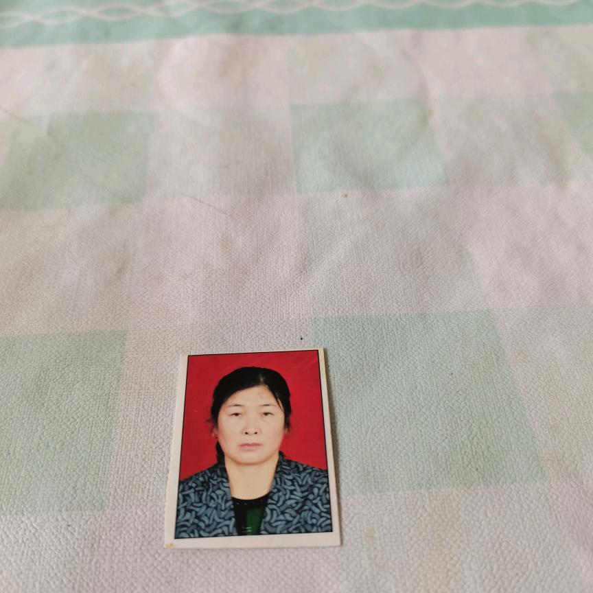 …丽萍
