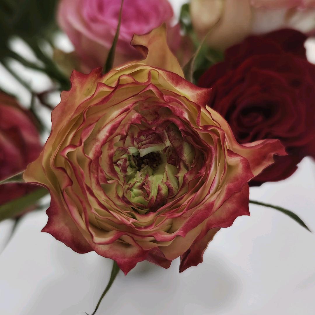 练习航拍的小谢