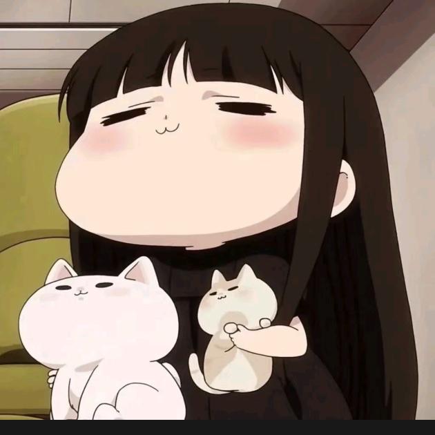 睡眠猫猫