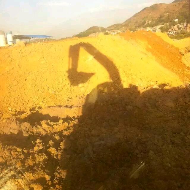 小花羊