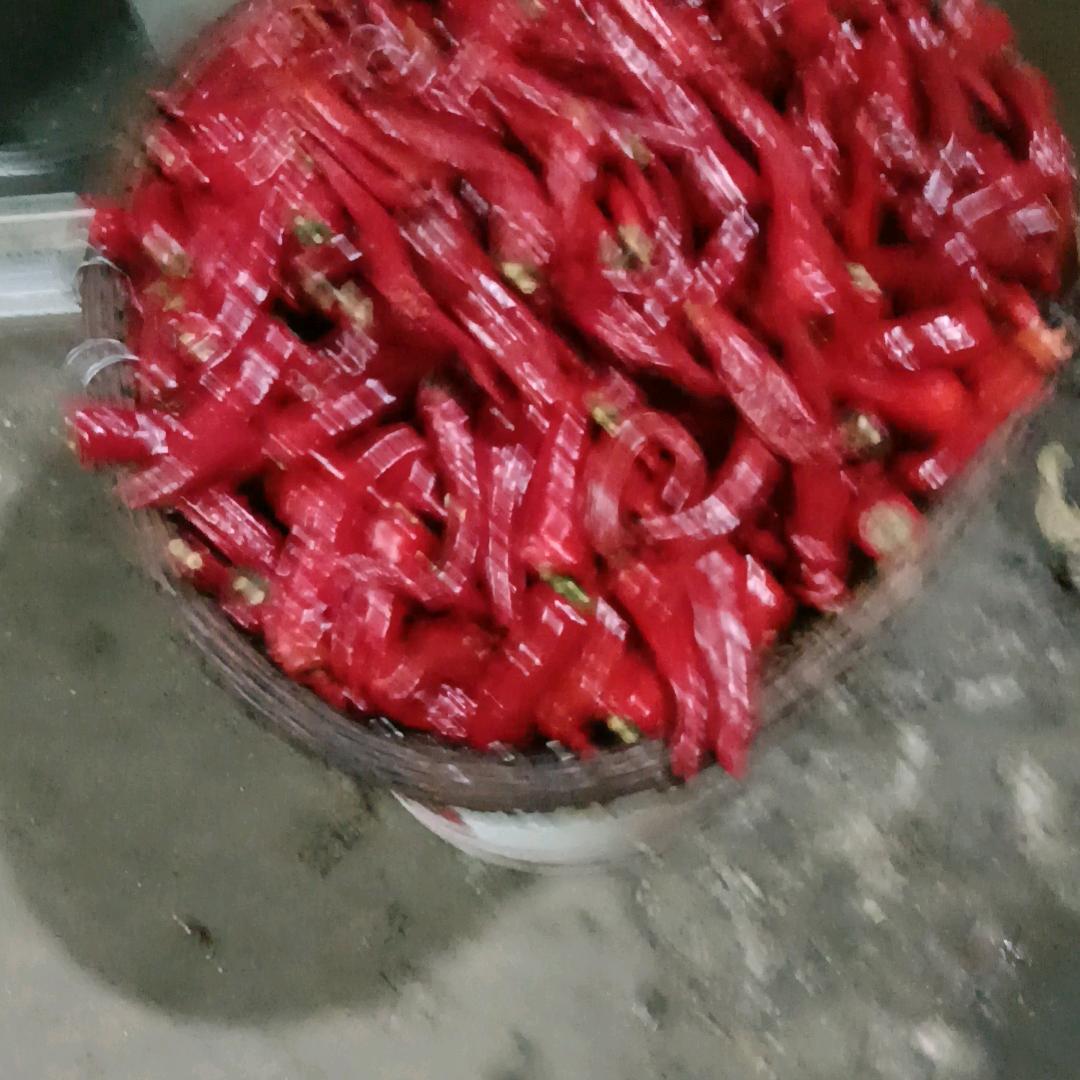 黑斑鸠