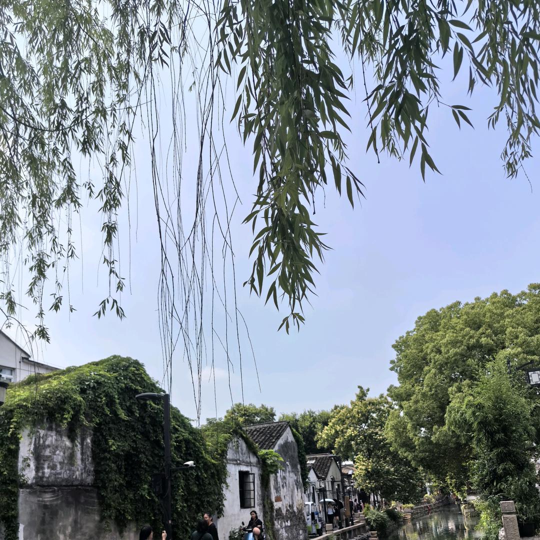 富富少年
