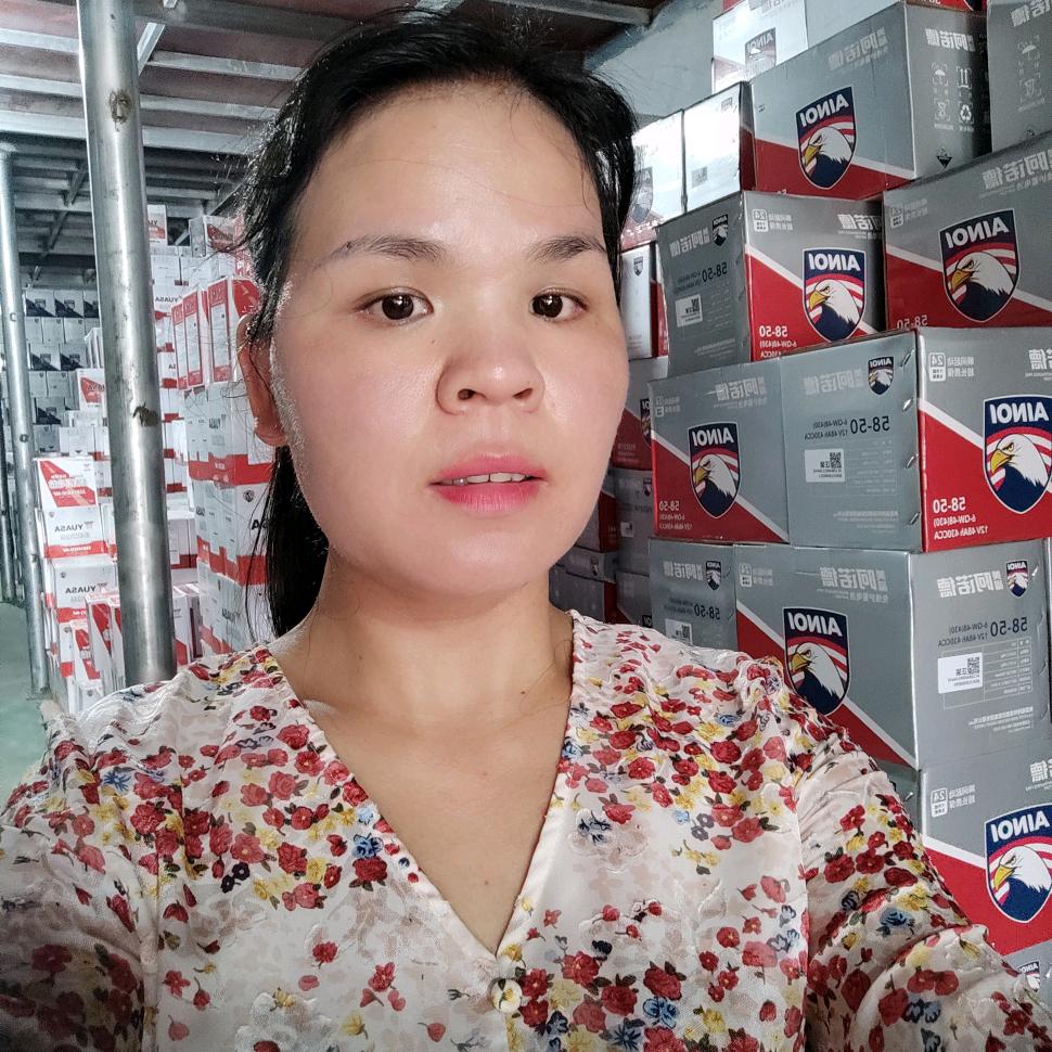 南宁汽车电瓶萍姐风帆蓄电池