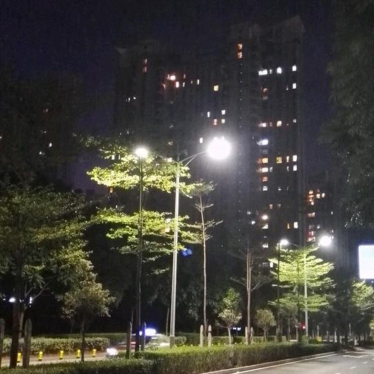 酒酿小鱼干儿🐟/