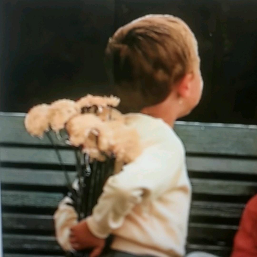 教职讲谈~刘老师