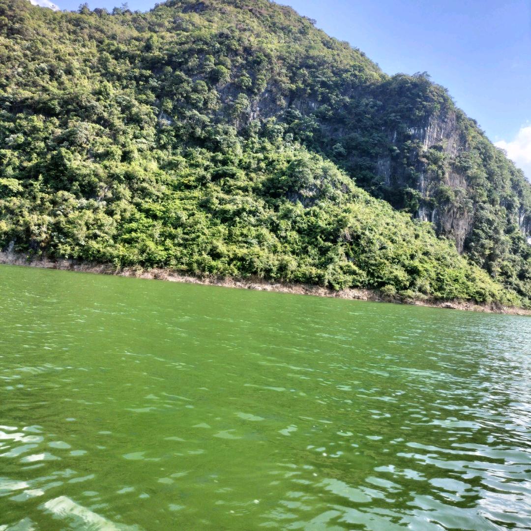 爷孙的日常