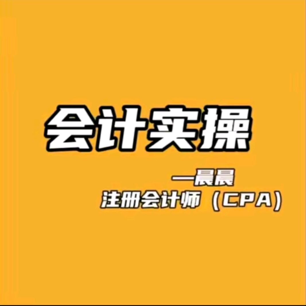晨晨-会计实操