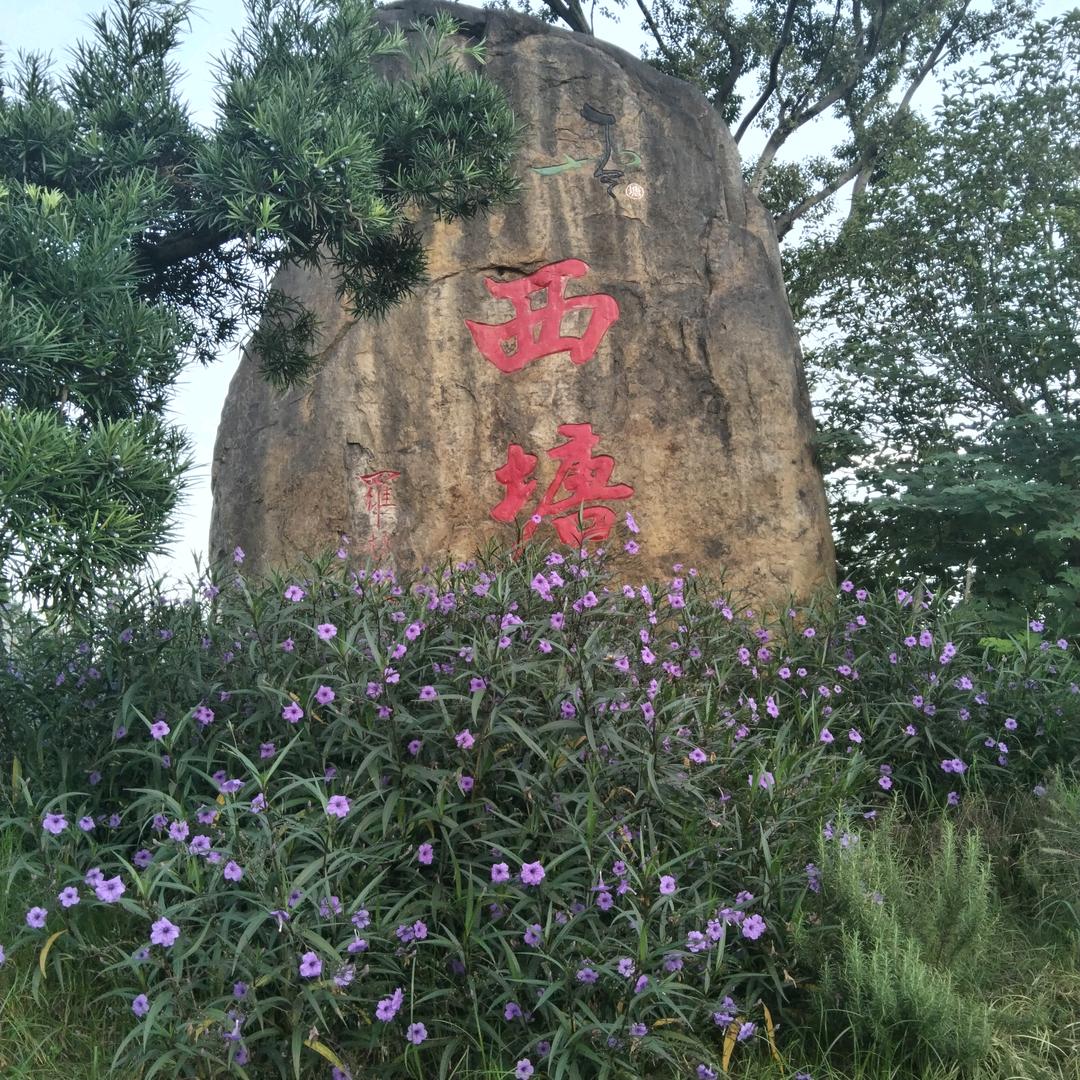 ㅤ    ㅤ自由自在