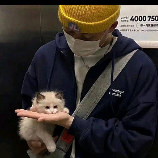 。。。。。。。。。