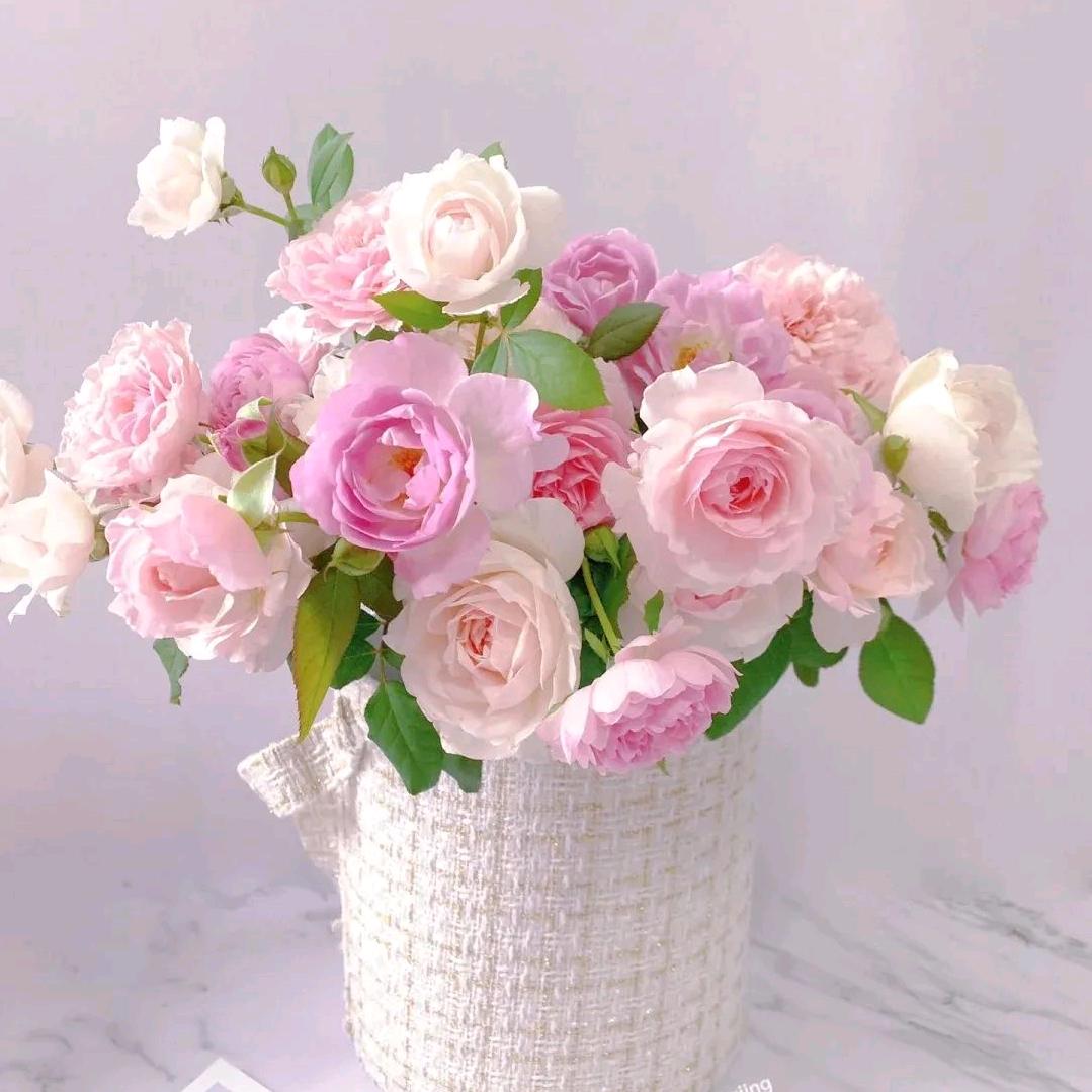 百合花