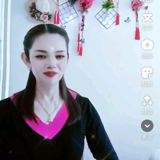 四龙三风凰