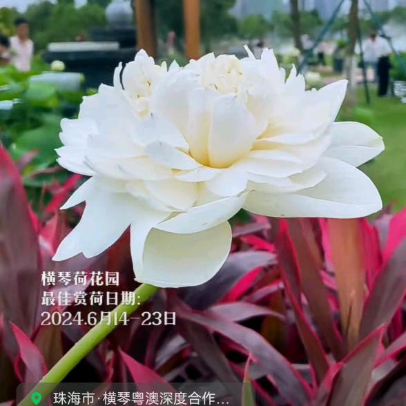 寻找人民币