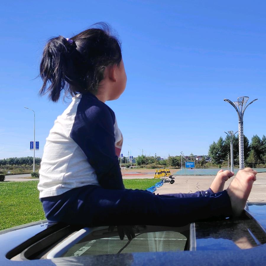 三峡大坝的骆驼