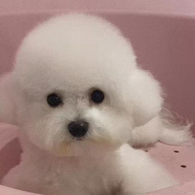 笑*