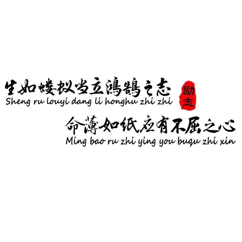 连云港同杨网络智能工程有限公司