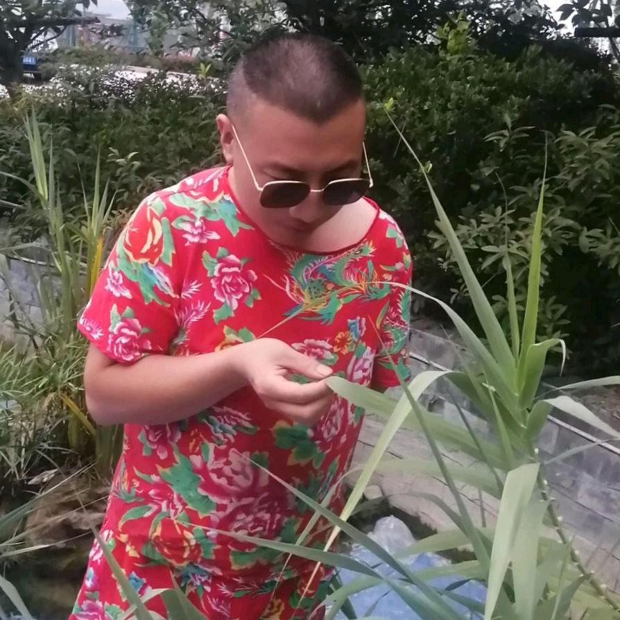 大丰收