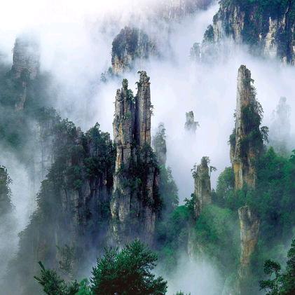 ✨可💖乐⭐️加💝冰🐝