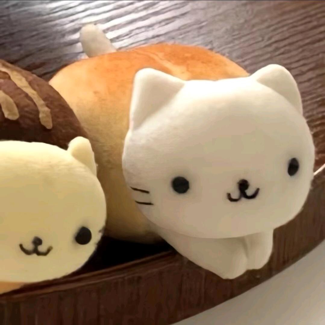 小乔大人驾到哒哒哒哒哒哒哒哒哒哒哒哒哒哒