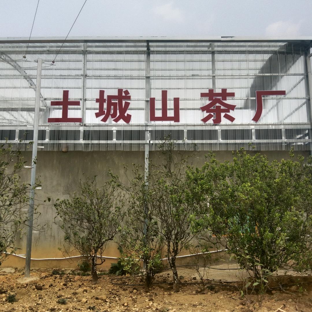 诚城的茶