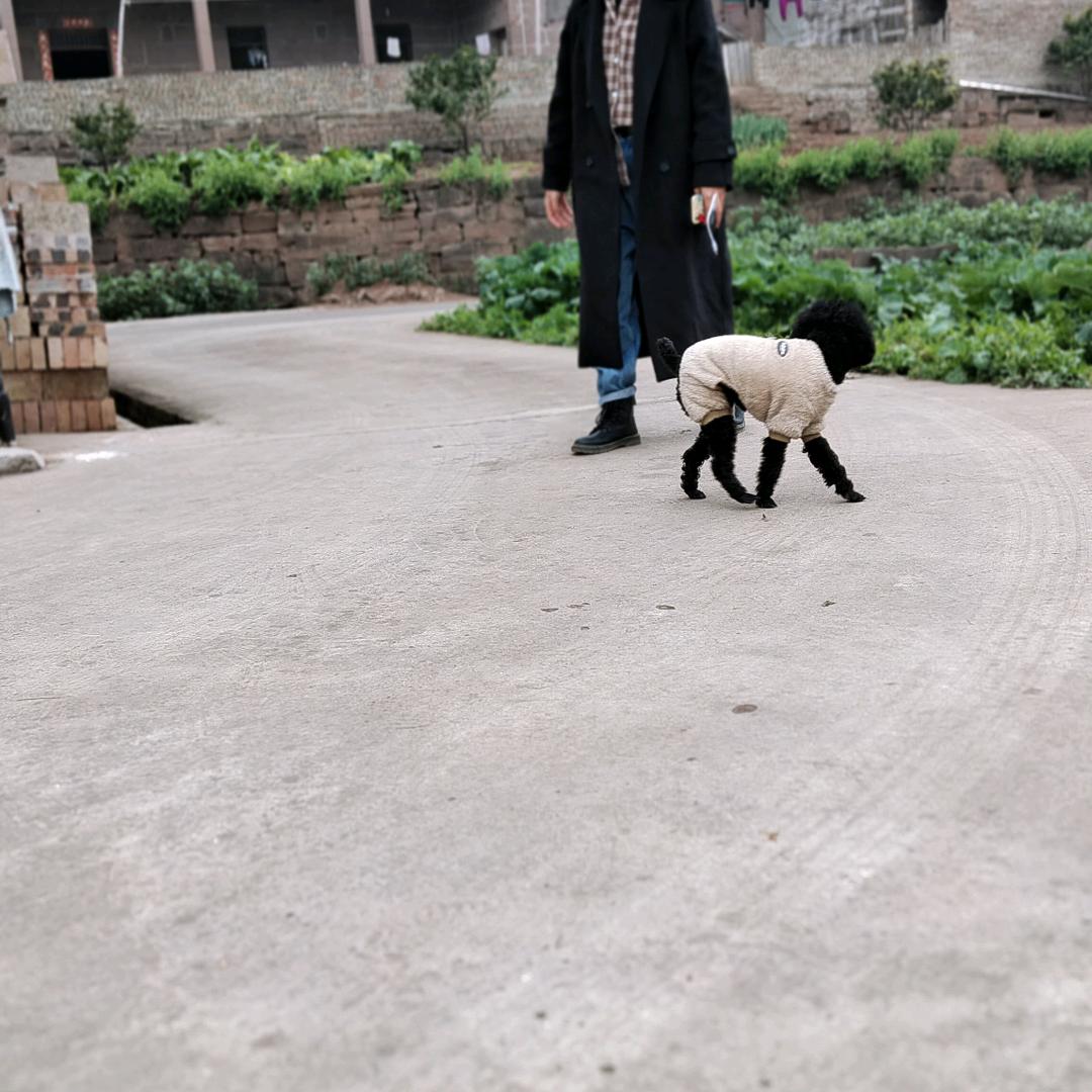 雨后的彩虹