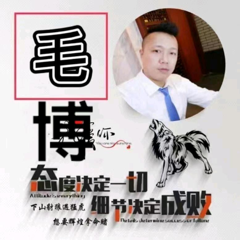 毛毛艺歌